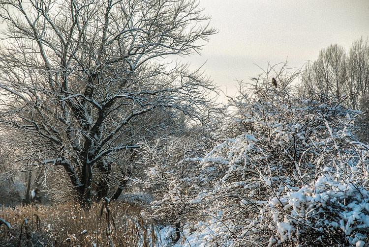 heimat-bilder