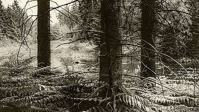 photography link-image